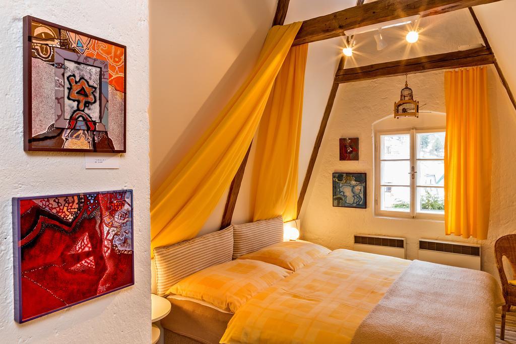 Pension U Kaplicky Český Krumlov Extérieur photo